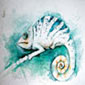 Bild Archipald
