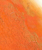 testbild